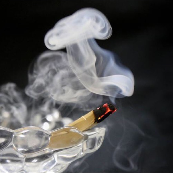 10pc Palo Santo - Picture 2 of 4